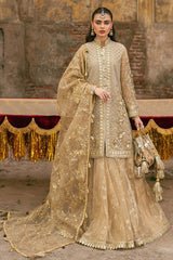 Mohsin Naveed Ranjha (MNR) - Roshni