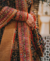 Fahad Hussayn - Naushayz