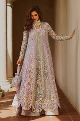 Soraya - Orchid