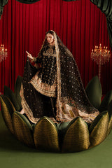 Mohsin Naveed Ranjha (MNR) - Afreen