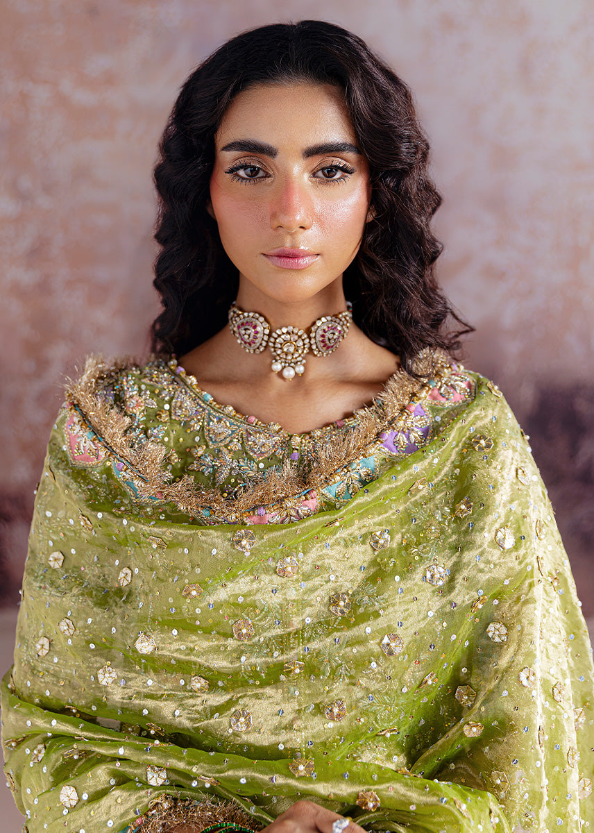 Sara Rohale Asghar - Shadan