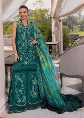 Crimson - Beauty in Bloom