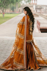 Mohsin Naveed Ranjha (MNR) - Ranjish