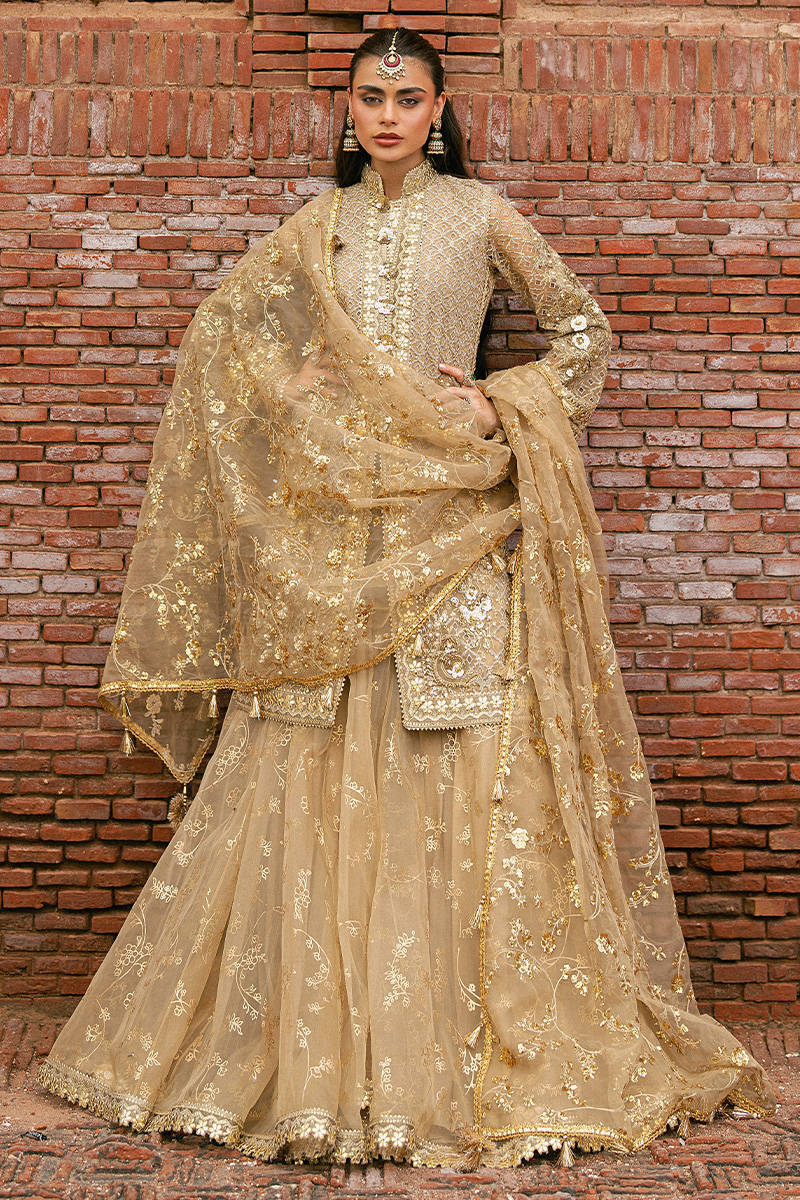 Mohsin Naveed Ranjha (MNR) - Roshni