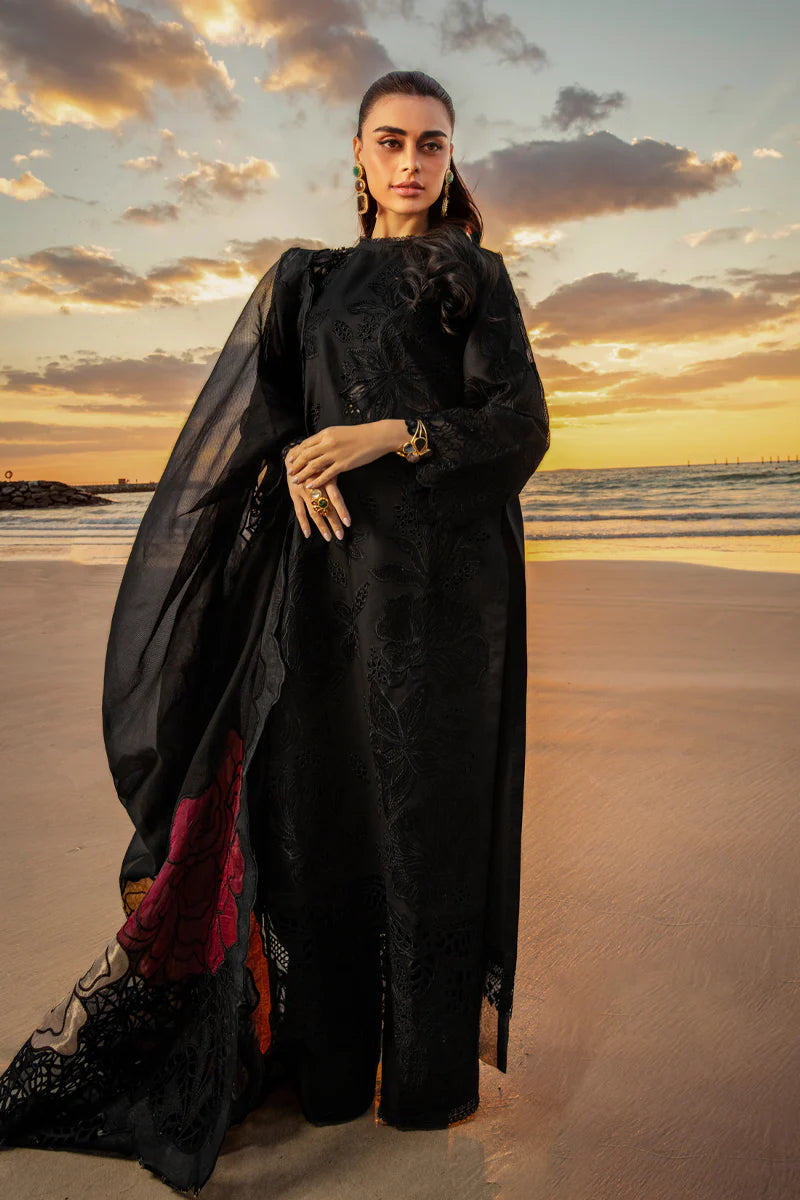 Rang Rasiya - Rameen