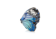 Judith Leiber - Butterfly Mila