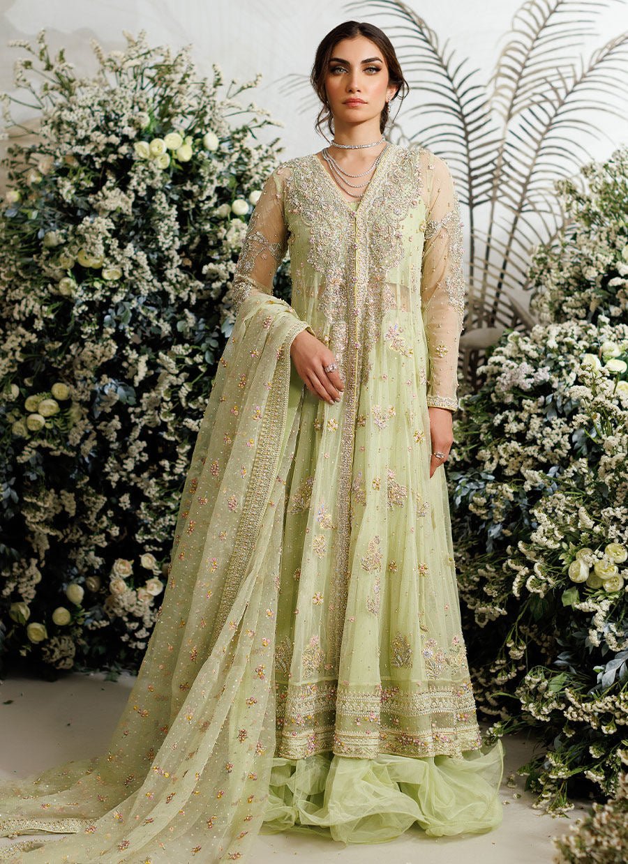 Farah Talib Aziz - Eliza kiwi tulle kalidaar Secondary image