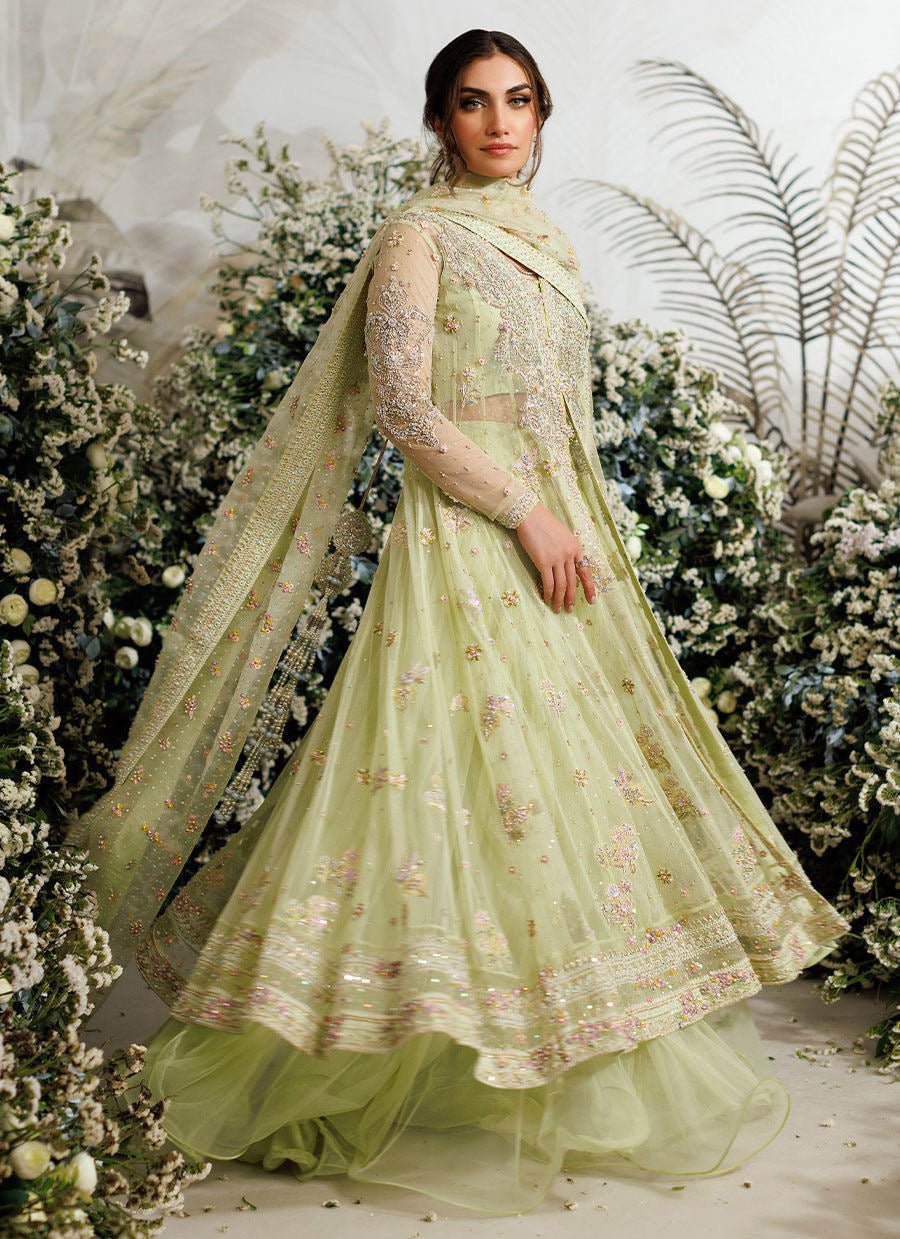 Farah Talib Aziz - Eliza kiwi tulle kalidaar - Eemie's Studio