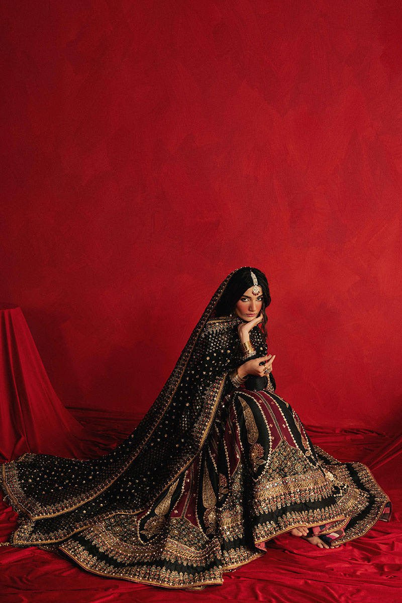 Mohsin Naveed Ranjha (MNR) - Dil Raas - Eemie's Studio