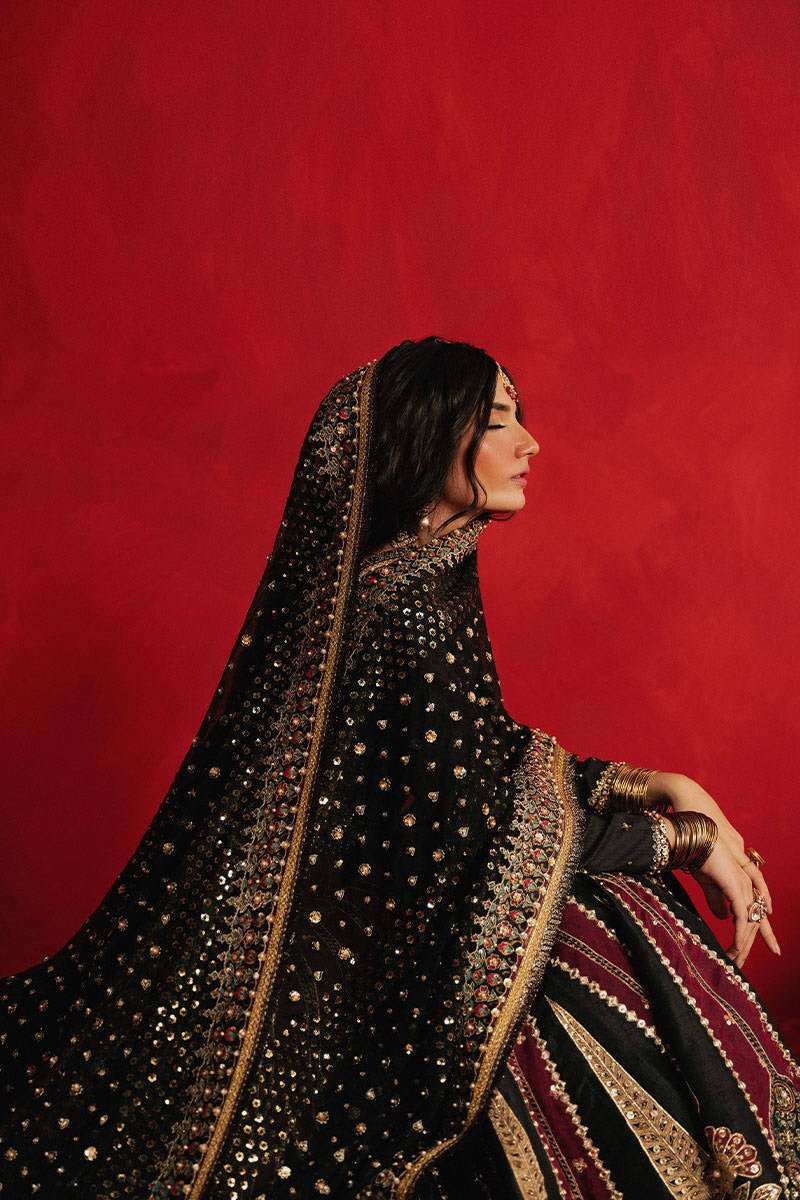 Mohsin Naveed Ranjha (MNR) - Dil Raas - Eemie's Studio