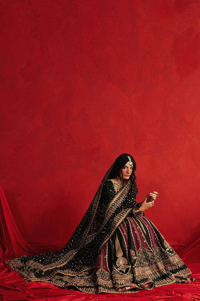 Mohsin Naveed Ranjha (MNR) - Dil Raas - Eemie's Studio