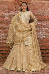 Mohsin Naveed Ranjha (MNR) - Roshni - Eemie's Studio
