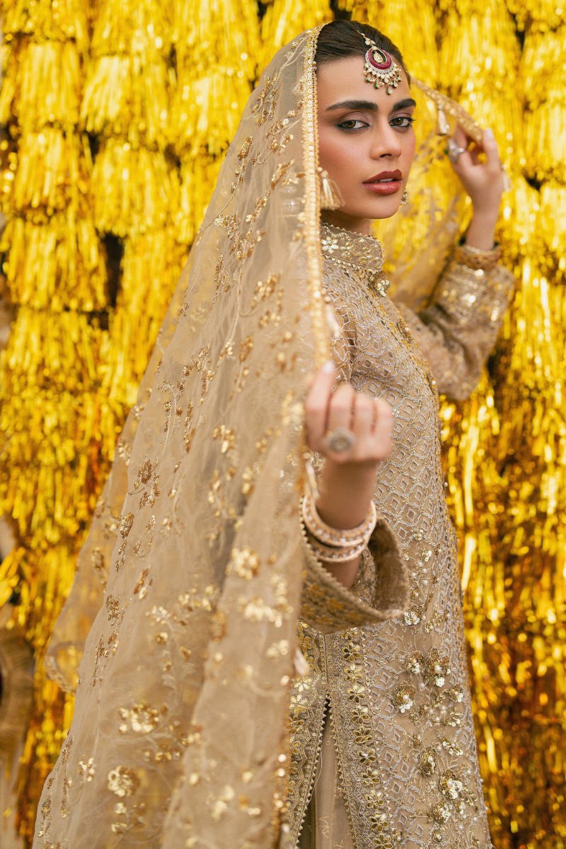 Mohsin Naveed Ranjha (MNR) - Roshni - Eemie's Studio