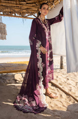 Saira Shakira Dahlia - B - Eemie's Studio