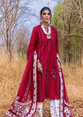 Saira Shakira Shams - A - Eemie's Studio