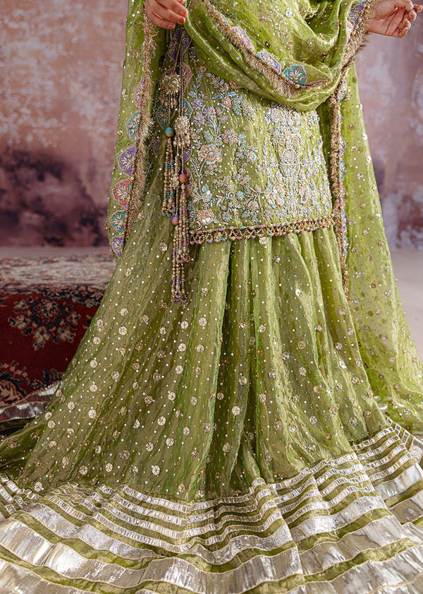 Sara Rohale Asghar - Shadan - Eemie's Studio