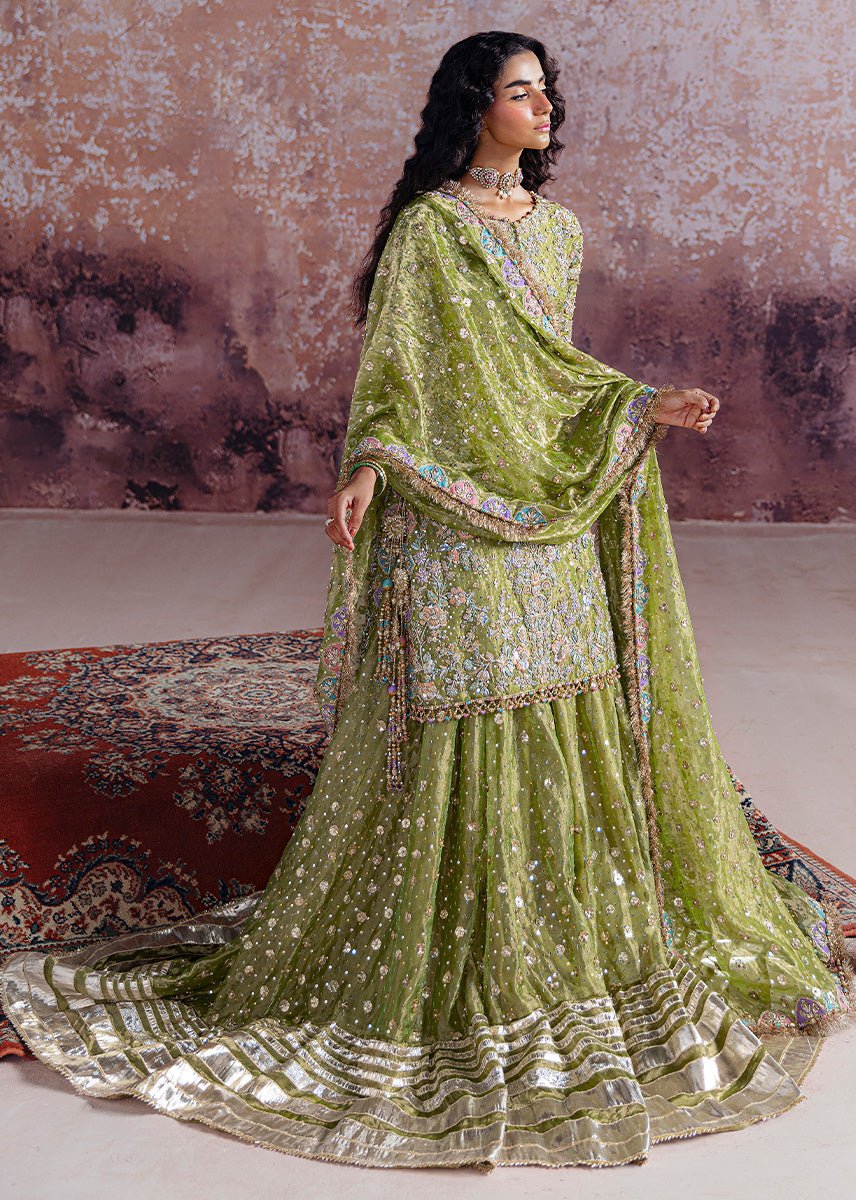 Sara Rohale Asghar - Shadan - Eemie's Studio