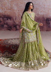 Sara Rohale Asghar - Shadan - Eemie's Studio